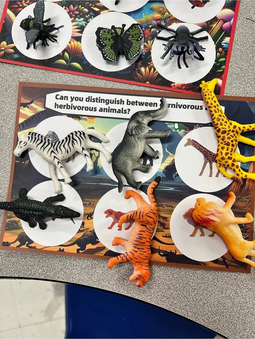 Learning sorting activity - Picture 7 of 13
